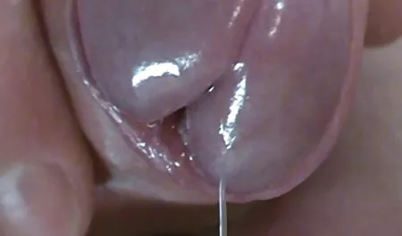 Dia tidak berani merampas keperawanannya untuk waktu streaming video bokep yang lama, tetapi pria itu berhasil membujuknya untuk berhubungan seks di pantat, gadis itu membuat dirinya enema, melumasi lubang dan datang ke pria itu