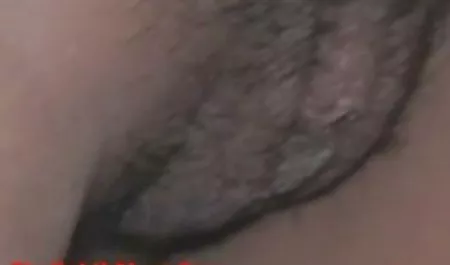 Latina download bokep keluarga cantik dan penis besar