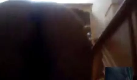 Bung bercinta jalang di mulutnya dan mengisi kakinya mp4 bokep dengan cum